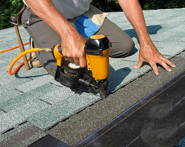 Best Roof Gutter Cleaning  in Bargaintown, NJ